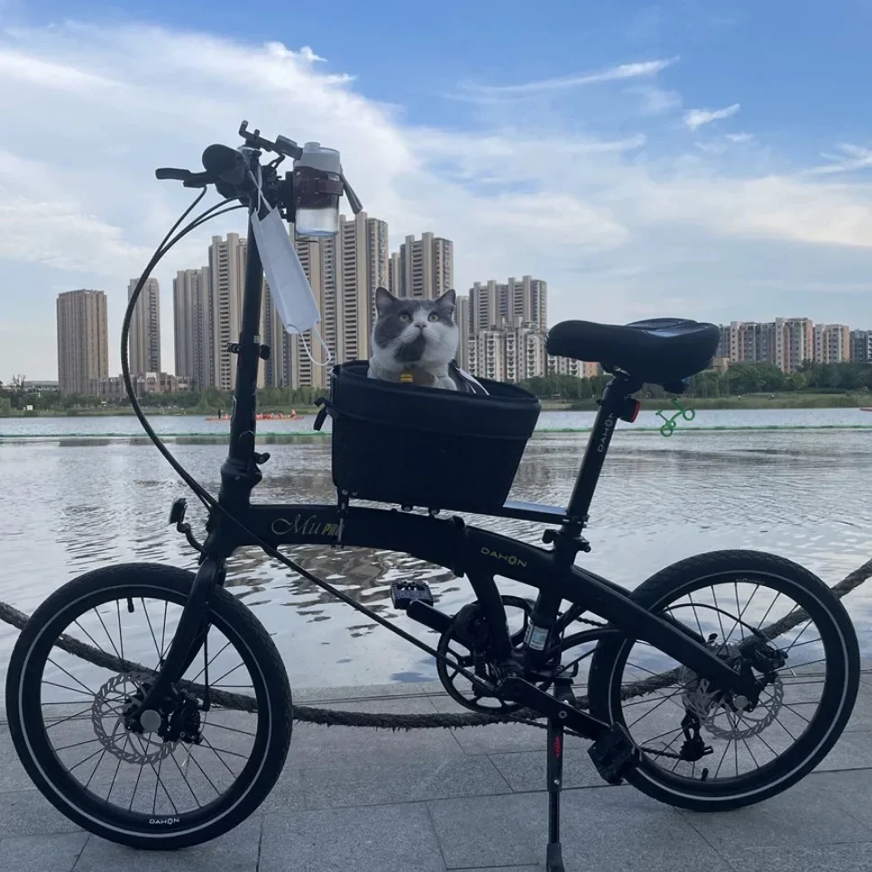 Cestino per bicicletta per ani - Mountain Biking Fanny Pack recensione e prezzo