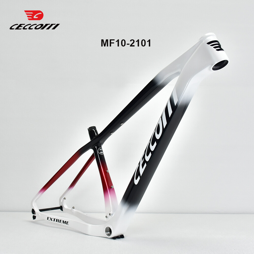 Telaio MTB CECCOTTI 29er BSA 1 - Mountain Biking In The Uk recensione e prezzo