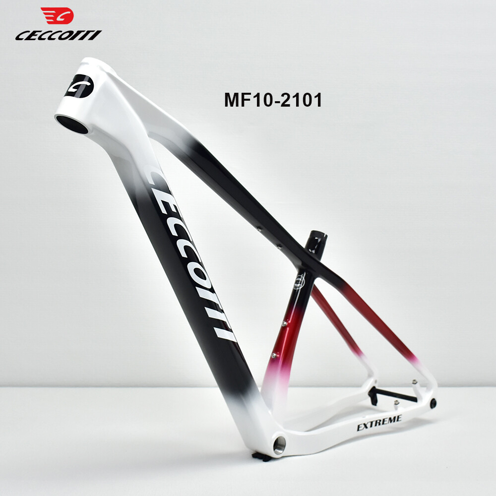 Telaio MTB CECCOTTI 29er BSA 1 - Mountain Biking In The Uk recensione e prezzo