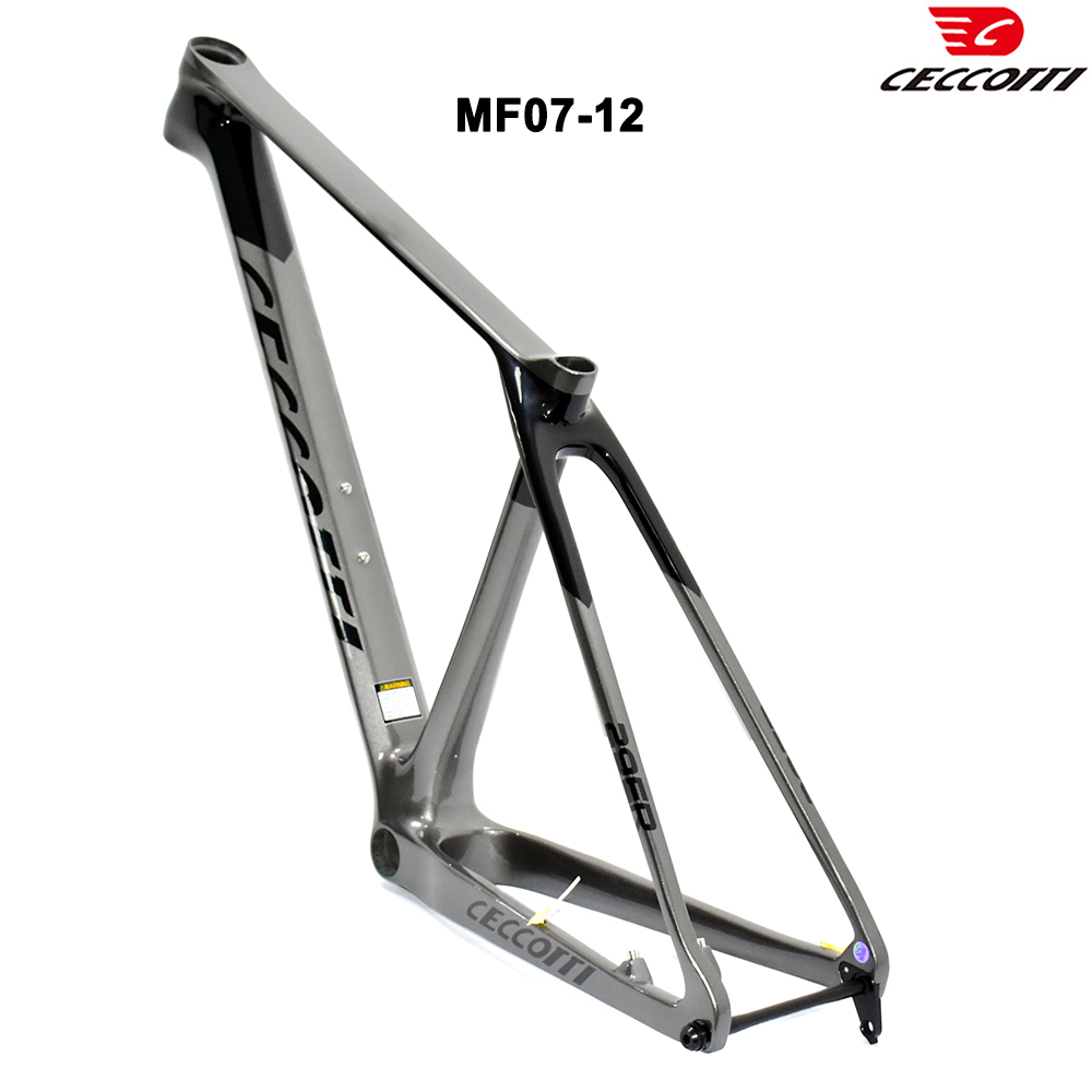 CECCOTTI Hardtail 29er MTB dis - Mountain Biking In The Uk recensione e prezzo